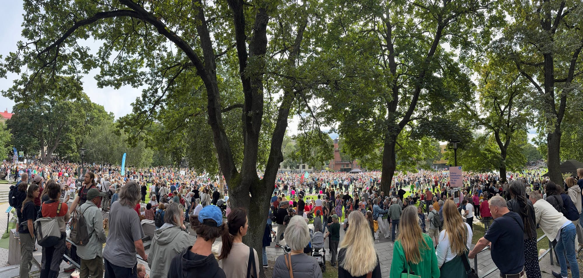 Bild över Vasaparken som visar en överblick över en tät folksamling med ett par tusen människor.