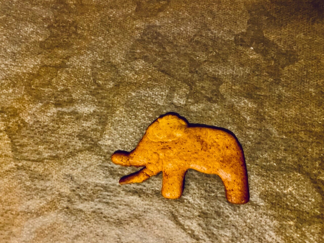 Homemade gingerbread cookie in the shape of a mastodon, on a baking sheet just out of the oven.